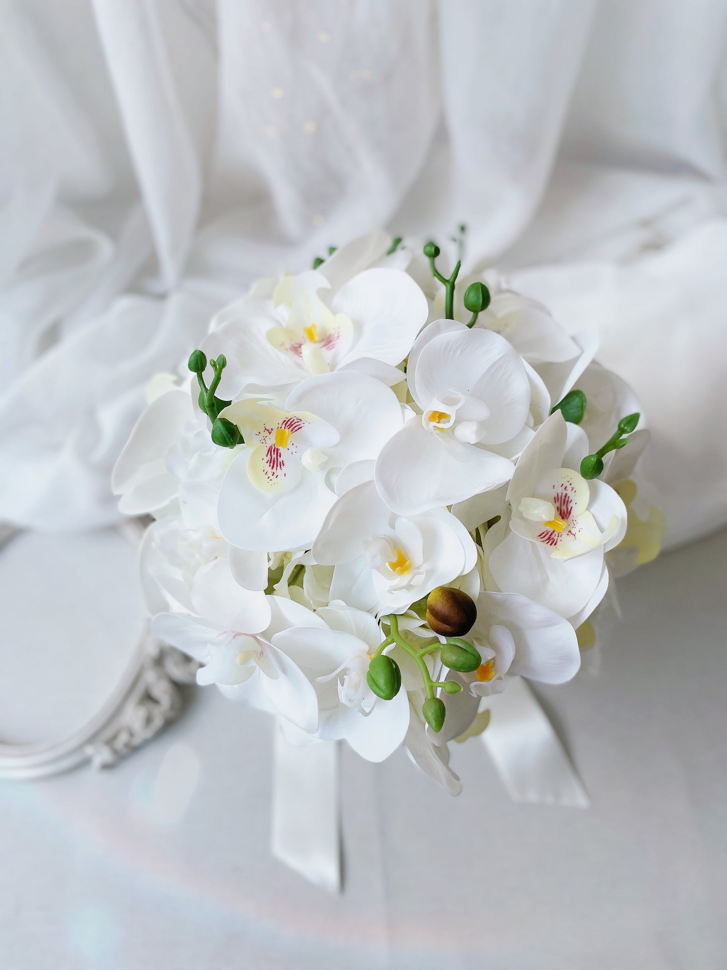 Buque Orquídeas Jucy