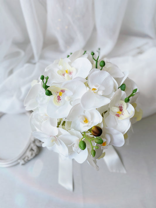 Buque Orquídeas Jucy