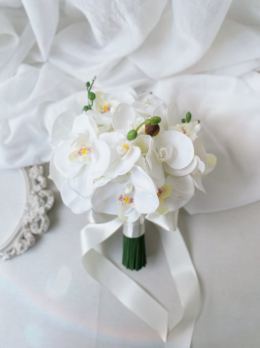 Buque Orquídeas Jucy